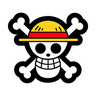 skull logo